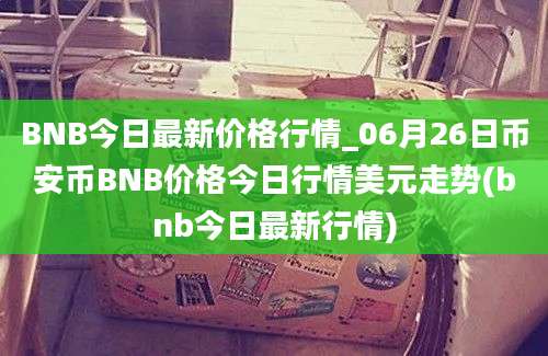 BNB今日最新价格行情_06月26日币安币BNB价格今日行情美元走势(bnb今日最新行情)