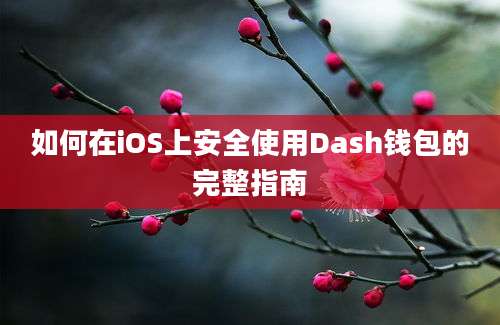 如何在iOS上安全使用Dash钱包的完整指南