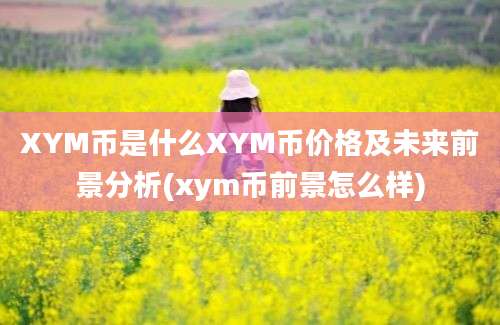 XYM币是什么XYM币价格及未来前景分析(xym币前景怎么样)