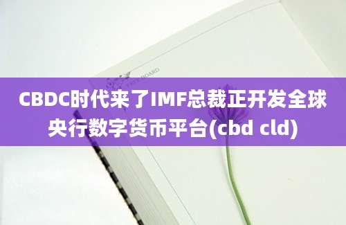 CBDC时代来了IMF总裁正开发全球央行数字货币平台(cbd cld)