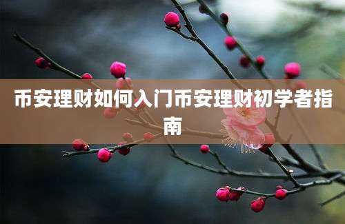 币安理财如何入门币安理财初学者指南