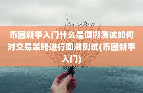 币圈新手入门什么是回溯测试如何对交易策略进行回溯测试(币圈新手入门)