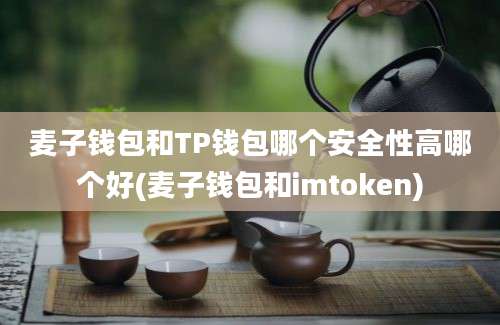 麦子钱包和TP钱包哪个安全性高哪个好(麦子钱包和imtoken)