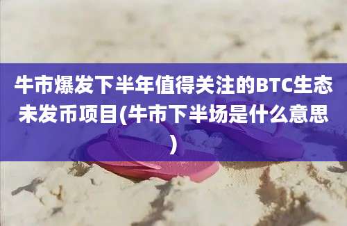 牛市爆发下半年值得关注的BTC生态未发币项目(牛市下半场是什么意思)