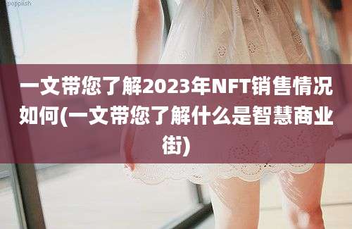 一文带您了解2023年NFT销售情况如何(一文带您了解什么是智慧商业街)