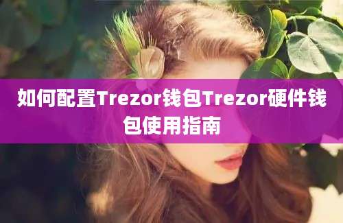 如何配置Trezor钱包Trezor硬件钱包使用指南