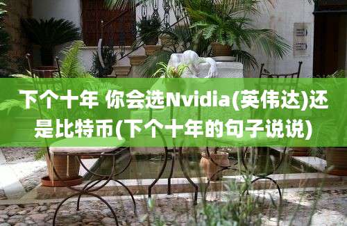 下个十年 你会选Nvidia(英伟达)还是比特币(下个十年的句子说说)