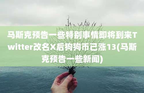 马斯克预告一些特别事情即将到来Twitter改名X后狗狗币已涨13(马斯克预告一些新闻)