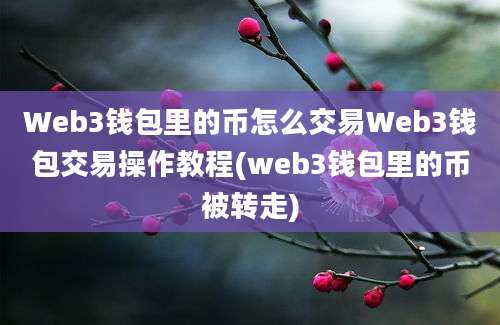 Web3钱包里的币怎么交易Web3钱包交易操作教程(web3钱包里的币被转走)