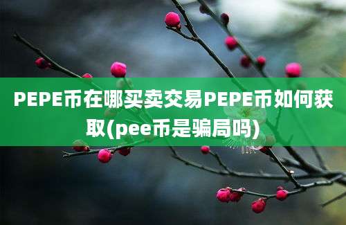 PEPE币在哪买卖交易PEPE币如何获取(pee币是骗局吗)