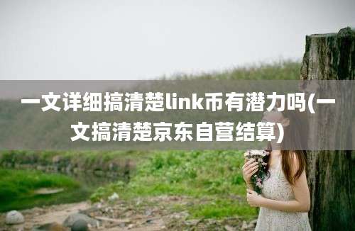 一文详细搞清楚link币有潜力吗(一文搞清楚京东自营结算)