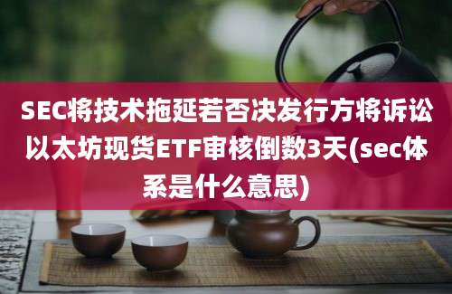 SEC将技术拖延若否决发行方将诉讼以太坊现货ETF审核倒数3天(sec体系是什么意思)