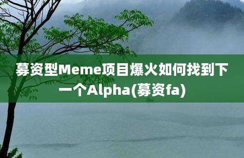 募资型Meme项目爆火如何找到下一个Alpha(募资fa)