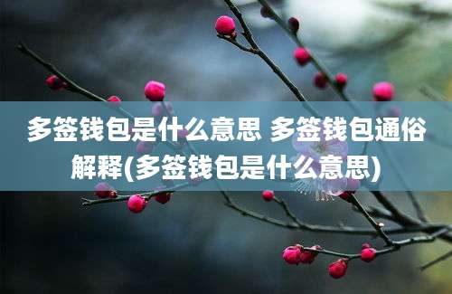 多签钱包是什么意思 多签钱包通俗解释(多签钱包是什么意思)