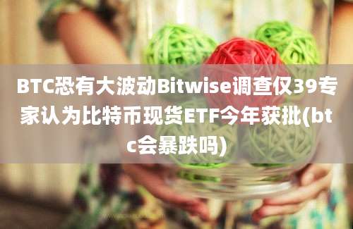 BTC恐有大波动Bitwise调查仅39专家认为比特币现货ETF今年获批(btc会暴跌吗)