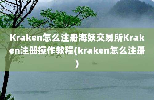 Kraken怎么注册海妖交易所Kraken注册操作教程(kraken怎么注册)