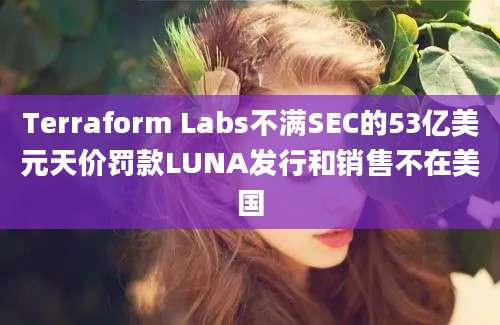 Terraform Labs不满SEC的53亿美元天价罚款LUNA发行和销售不在美国