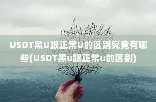 USDT黑U跟正常U的区别究竟有哪些(USDT黑u跟正常u的区别)