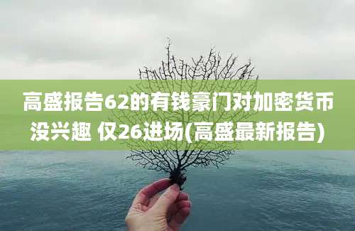 高盛报告62的有钱豪门对加密货币没兴趣 仅26进场(高盛最新报告)