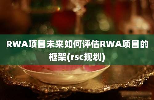 RWA项目未来如何评估RWA项目的框架(rsc规划)