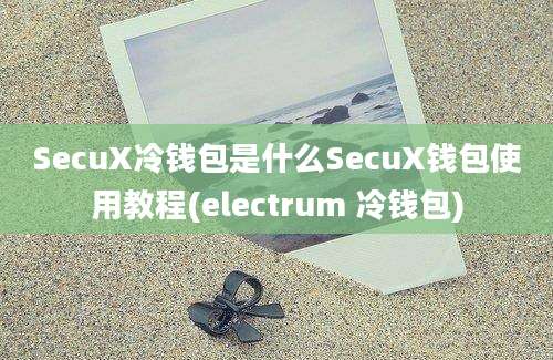 SecuX冷钱包是什么SecuX钱包使用教程(electrum 冷钱包)