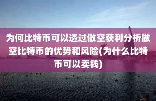 为何比特币可以透过做空获利分析做空比特币的优势和风险(为什么比特币可以卖钱)