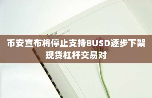 币安宣布将停止支持BUSD逐步下架现货杠杆交易对