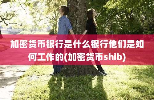 加密货币银行是什么银行他们是如何工作的(加密货币shib)