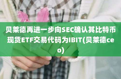 贝莱德再进一步向SEC确认其比特币现货ETF交易代码为IBIT(贝莱德ceo)