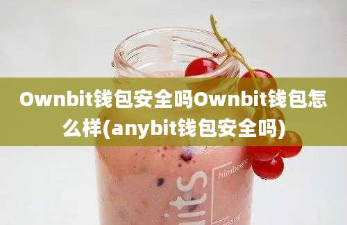 Ownbit钱包安全吗Ownbit钱包怎么样(anybit钱包安全吗)