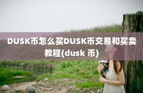 DUSK币怎么买DUSK币交易和买卖教程(dusk 币)