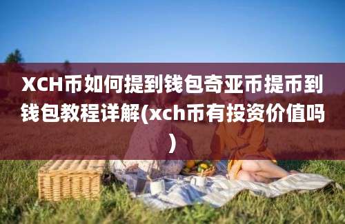 XCH币如何提到钱包奇亚币提币到钱包教程详解(xch币有投资价值吗)