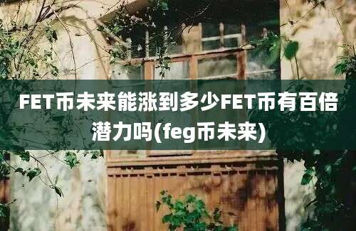 FET币未来能涨到多少FET币有百倍潜力吗(feg币未来)