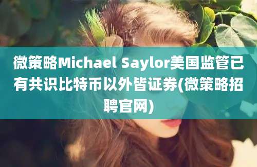 微策略Michael Saylor美国监管已有共识比特币以外皆证券(微策略招聘官网)