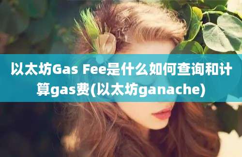 以太坊Gas Fee是什么如何查询和计算gas费(以太坊ganache)