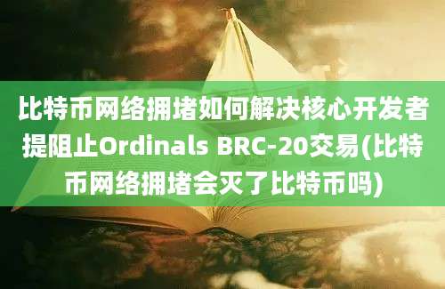 比特币网络拥堵如何解决核心开发者提阻止Ordinals BRC-20交易(比特币网络拥堵会灭了比特币吗)