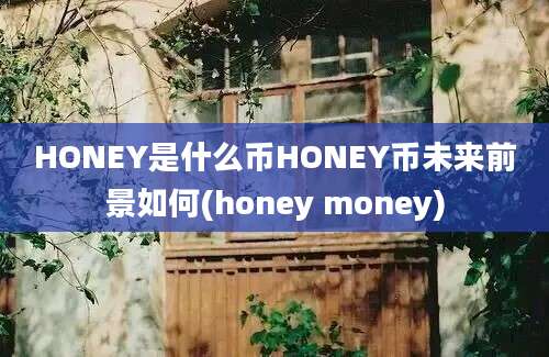 HONEY是什么币HONEY币未来前景如何(honey money)