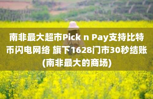 南非最大超市Pick n Pay支持比特币闪电网络 旗下1628门市30秒结账(南非最大的商场)