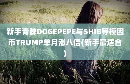 新手青睐DOGEPEPE与SHIB等模因币TRUMP单月涨八倍(新手最适合)