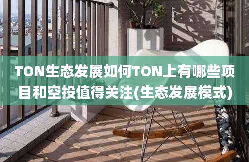 TON生态发展如何TON上有哪些项目和空投值得关注(生态发展模式)