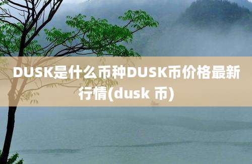 DUSK是什么币种DUSK币价格最新行情(dusk 币)