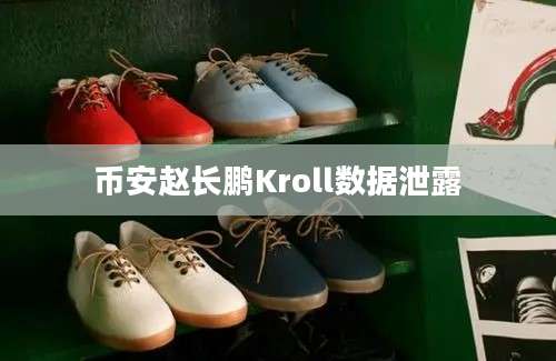 币安赵长鹏Kroll数据泄露