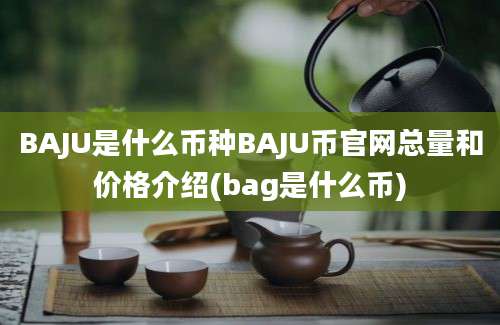 BAJU是什么币种BAJU币官网总量和价格介绍(bag是什么币)