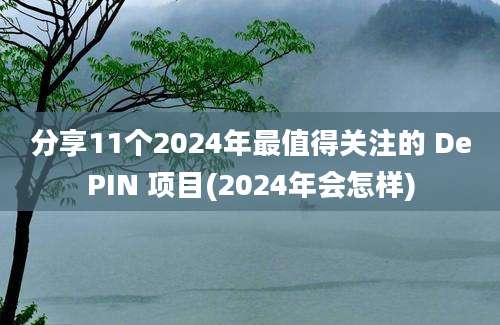 分享11个2024年最值得关注的 DePIN 项目(2024年会怎样)