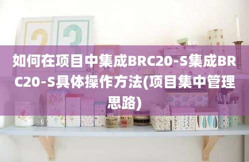 如何在项目中集成BRC20-S集成BRC20-S具体操作方法(项目集中管理思路)