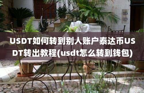 USDT如何转到别人账户泰达币USDT转出教程(usdt怎么转到钱包)