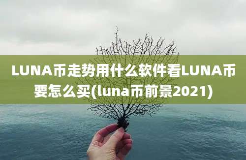 LUNA币走势用什么软件看LUNA币要怎么买(luna币前景2021)