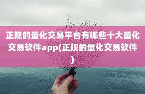 正规的量化交易平台有哪些十大量化交易软件app(正规的量化交易软件)