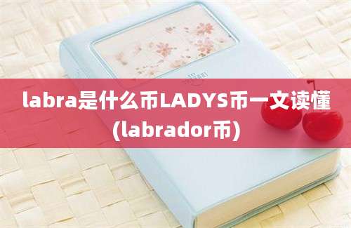 labra是什么币LADYS币一文读懂(labrador币)