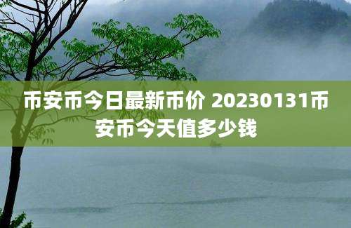 币安币今日最新币价 20230131币安币今天值多少钱